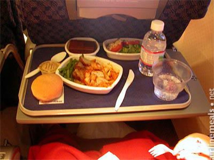 american airlines food carry on