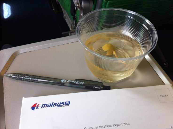 Malaysia Airlines