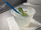 jetBlue Mint