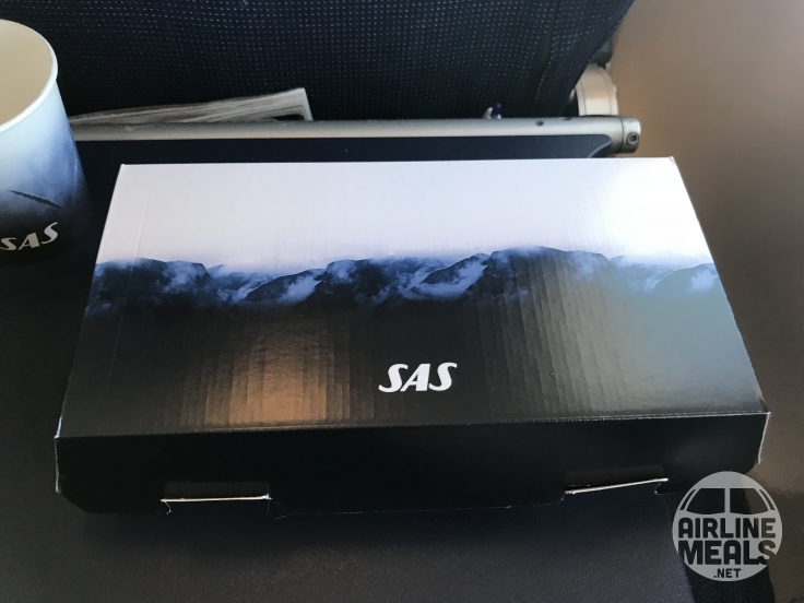 SAS Scandinavian Airlines