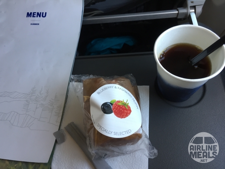 SAS Scandinavian Airlines